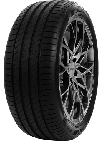 Ljetna DELINTE 215/50 ZR18 TL 92W  DELINTE DS2 215/50 ZR18 TL 92W DELINTE DS2