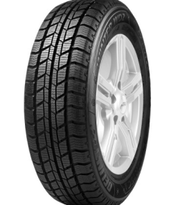 215/65 R16 TL 109T DELINTE WD2