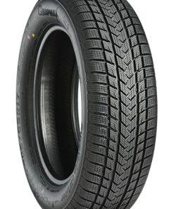 215/55R17 98V SUREGRIP eWINTER XL