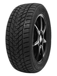 205/60 HR16 TL 96H DELINTE WD1