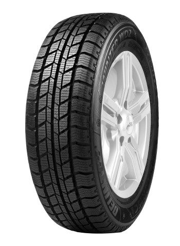 Zimska DELINTE 205/65  R16 TL 107T DELINTE WD2 205/65 R16 TL 107T DELINTE WD2