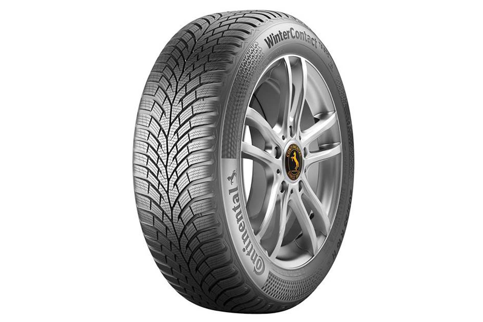 Zimska CONTINENTAL 215/40 VR17 TL 87V  CO TS870 XL FR 215/40 VR17 TL 87V CO TS870 XL FR