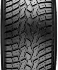 traktorske gume 170/60-8 65A8 Greentrax TL