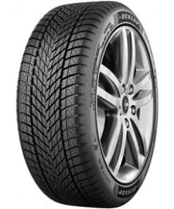 255/45R19 104V XL WINTER MFS